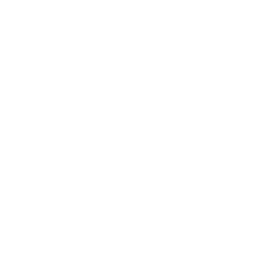 SSV logo blanco